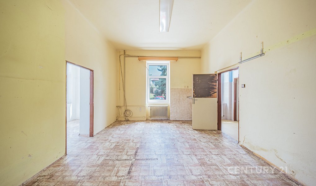Prodej komerčního objektu (jiného typu) 120 m², Horní Bříza – náhled fotky 14