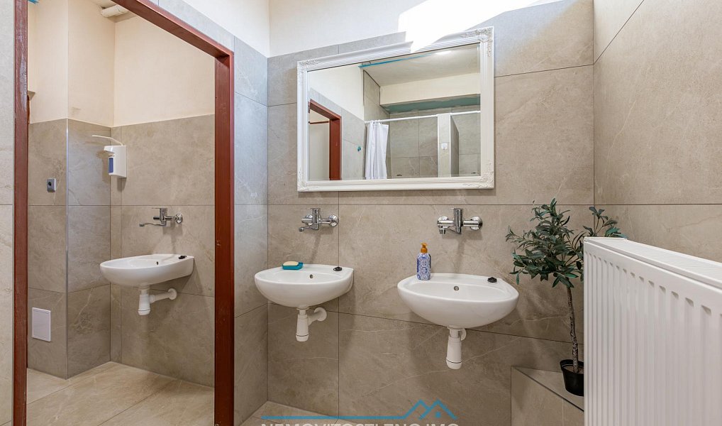 Pronájem bytu atypického 10 m², Hrušovany nad Jevišovkou – náhled fotky 18