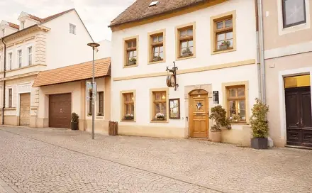 Prodej domu 296 m² s pozemkem 162 m², Čechova, Kadaň, okres Chomutov