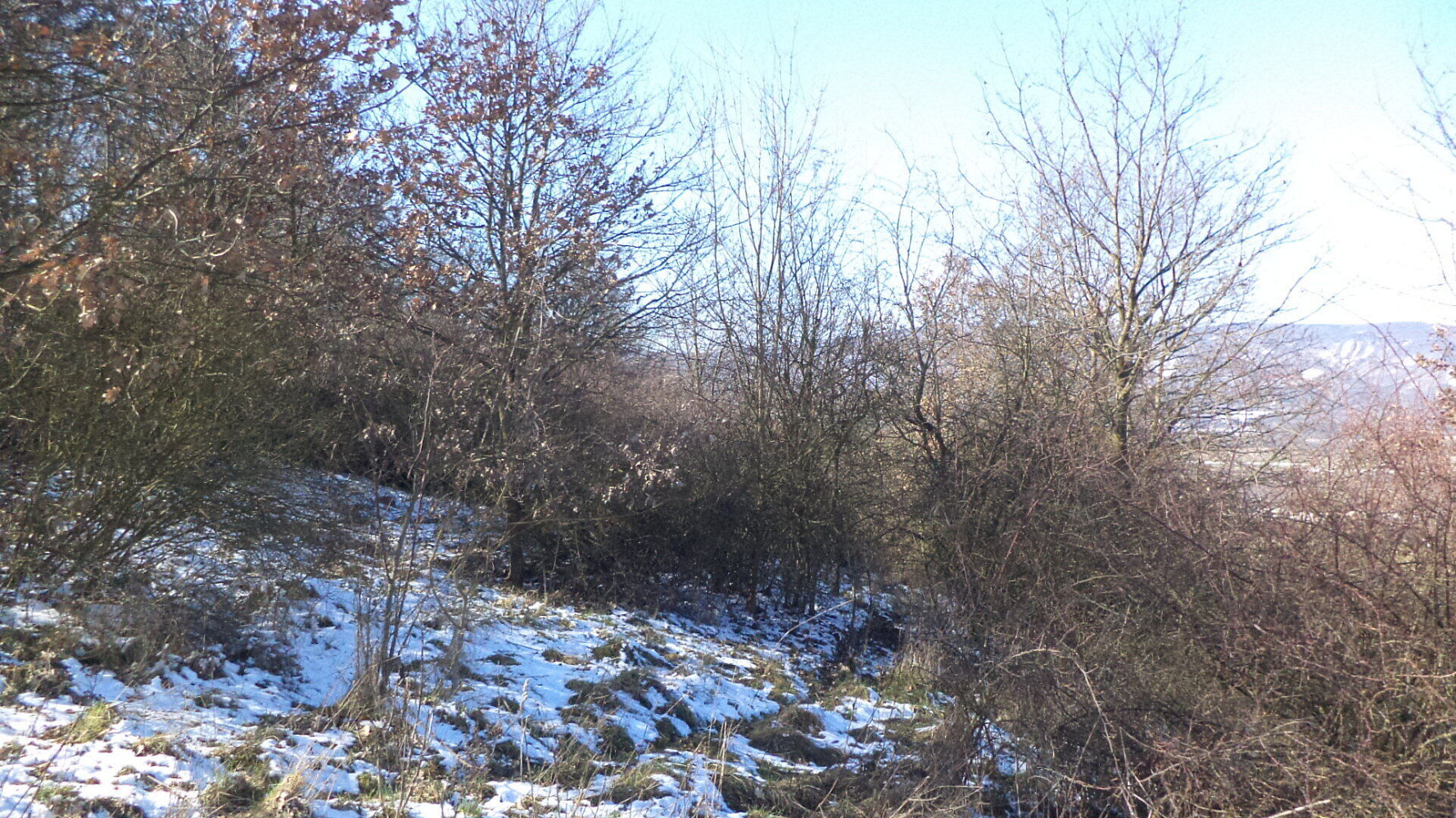 Prodej pole 18 942 m² – fotografie 4
