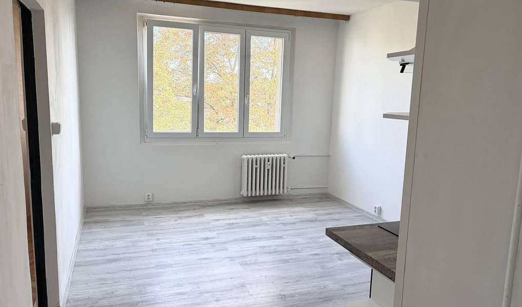 Pronájem bytu 1+1 37 m², Plzeň – náhled fotky 4