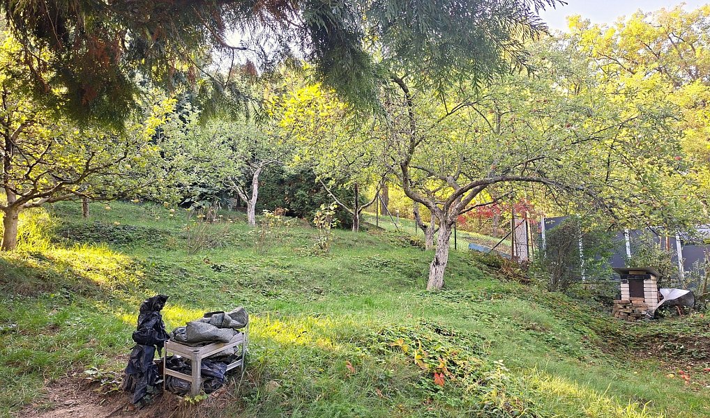 Prodej chaty/chalupy 49 m² s pozemkem 749 m², Brno – náhled fotky 17