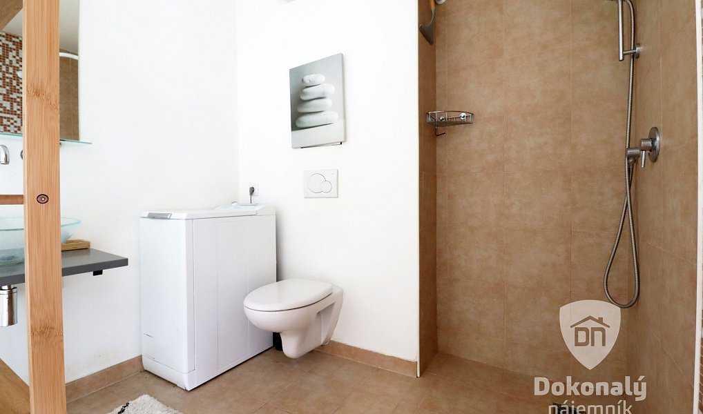 Pronájem bytu 1+kk 45 m², Praha – náhled fotky 10