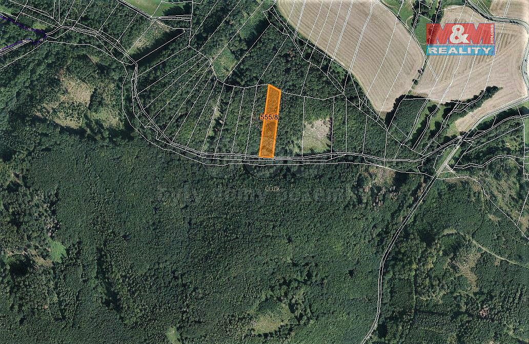 Prodej lesa, 2021 m², Vranová Lhota – pohled 4