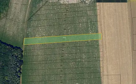 Prodej pole 4 002 m², Luže - Bělá, okres Chrudim