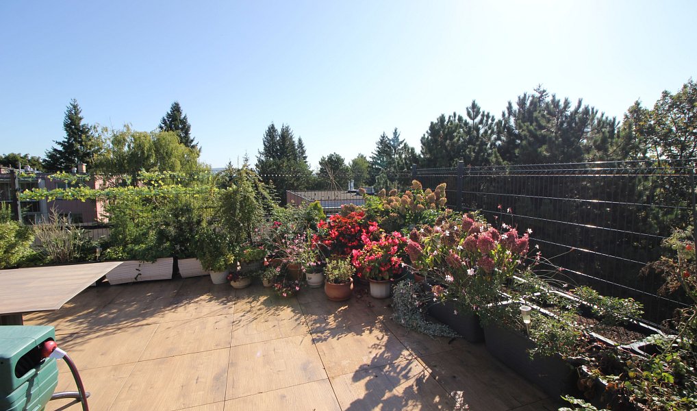 Pronájem bytu 3+1 72 m², Brno – náhled fotky 12