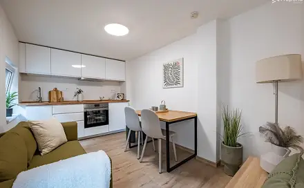 Prodej bytu 1+1 30 m², Elgartova, Brno - Husovice