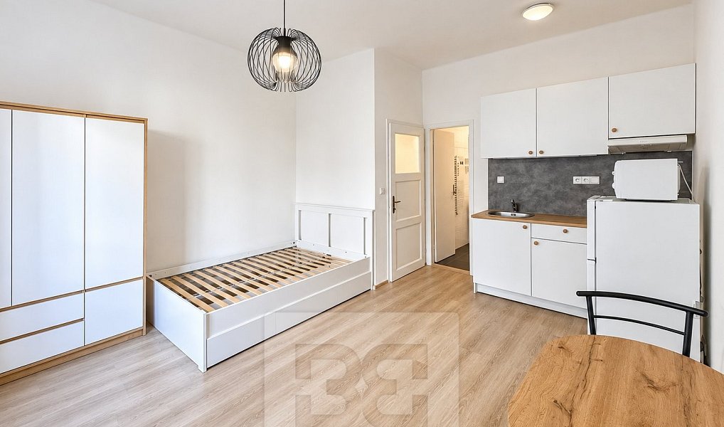 Pronájem bytu 1+kk 27 m², Praha – náhled fotky 7