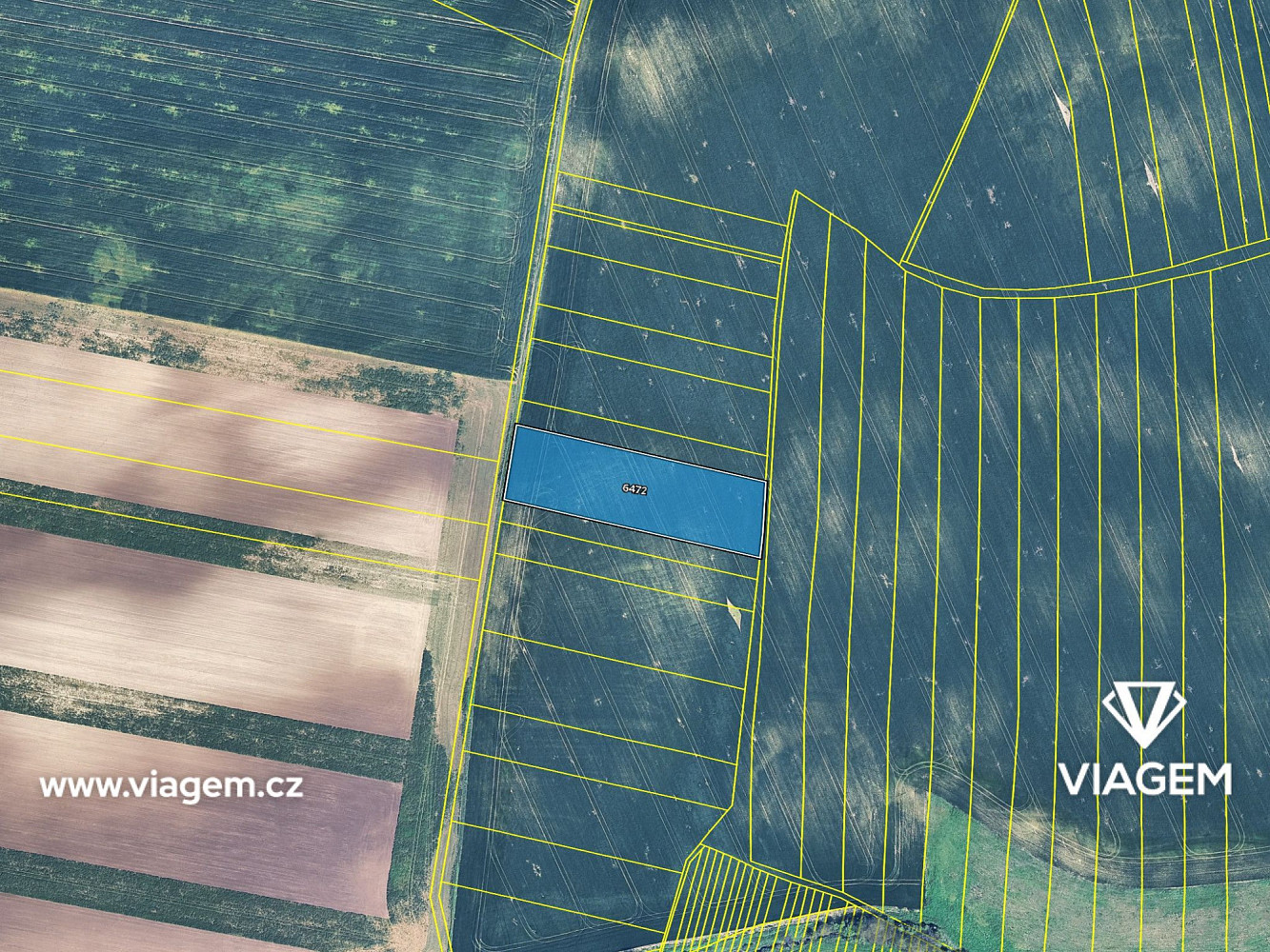 Prodej pole 1 732 m² – fotografie 4