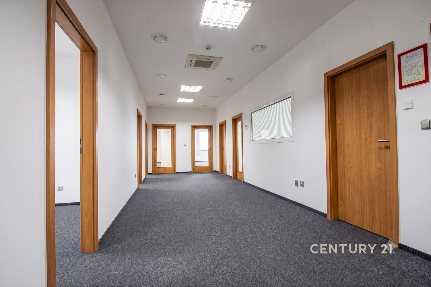 Pronájem výrobních prostor 897 m² – fotografie 3