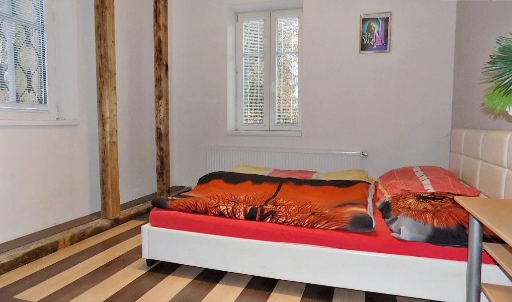 Prodej ubytovacího objektu 325 m², Lobendava – náhled fotky 11