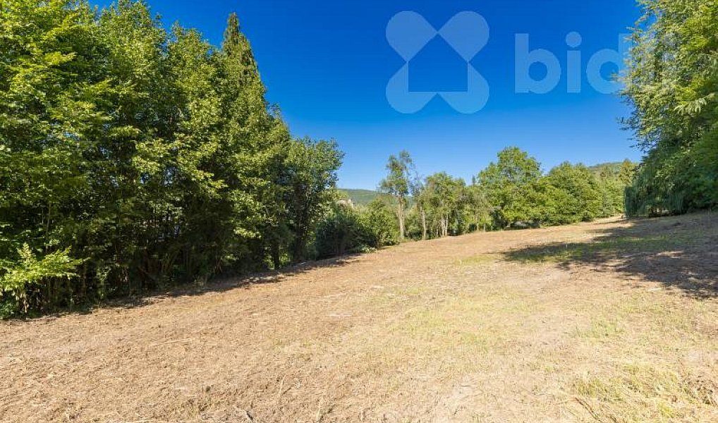 Prodej stavebního pozemku 8 271 m², Hradištko – náhled fotky 11