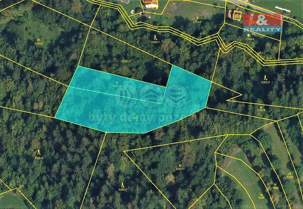 Prodej lesa 5 661 m² – fotografie 4