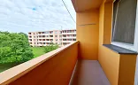 Ostatní