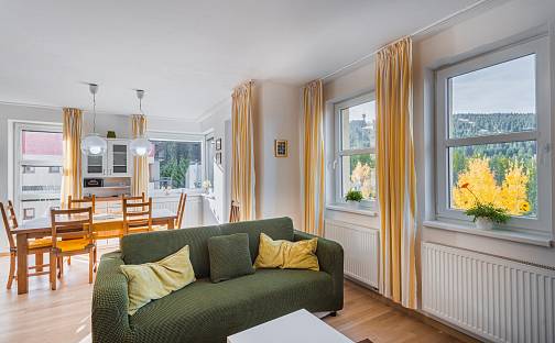 Prodej bytu 3+kk 95 m², Loučná pod Klínovcem - Loučná, okres Chomutov