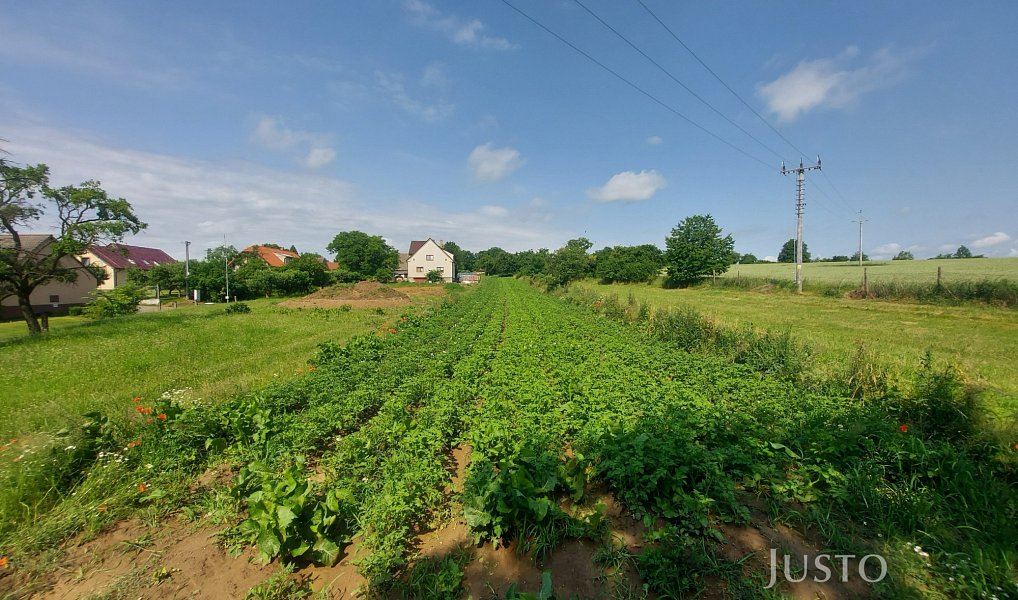 Prodej stavebního pozemku 2 918 m², Dražíč – náhled fotky 2