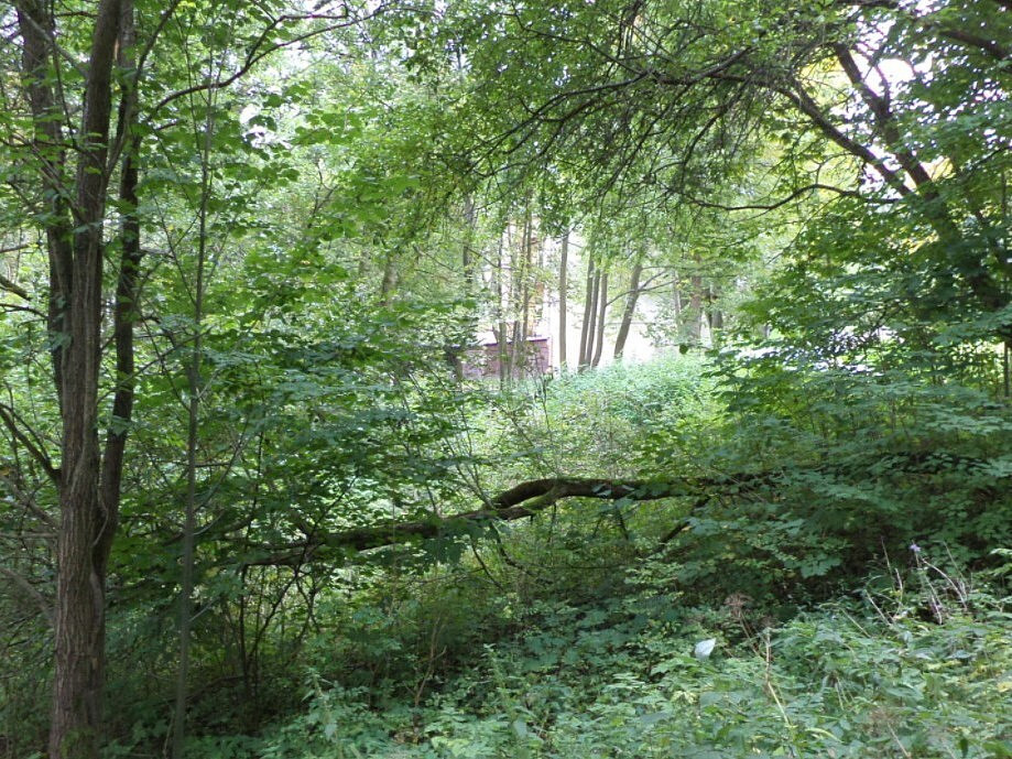 Dražba louky 1 755 m²