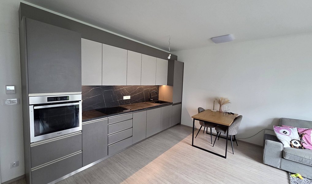 Prodej bytu 2+kk 63 m², Brno – náhled fotky 3