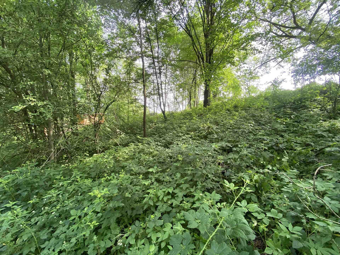 Prodej stavebního pozemku 974 m² – fotografie 4