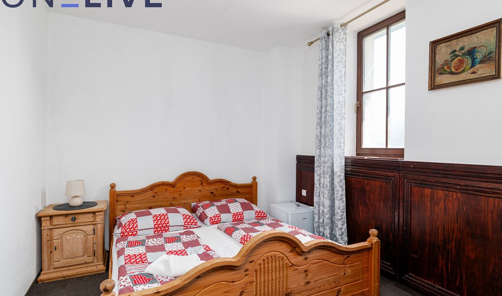 Prodej komerčního objektu (jiného typu) 450 m², Přimda – náhled fotky 10