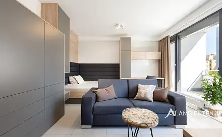 Pronájem bytu 1+kk 42 m²