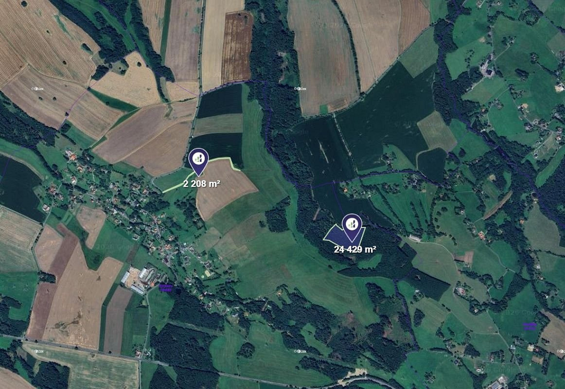Prodej lesa 25 533 m² – pohled 3