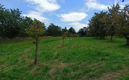 Prodej stavebního pozemku 2 668 m², Lhenice, okres Prachatice