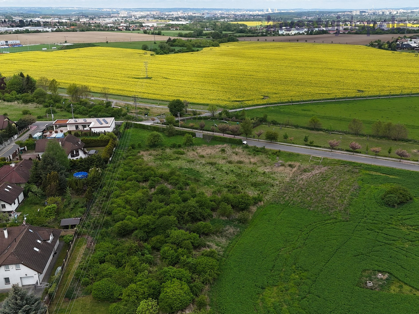 Prodej pole 4 757 m² – fotografie 5