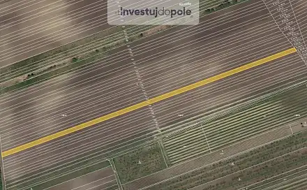 Prodej pole 3 452 m², Velké Pavlovice, okres Břeclav