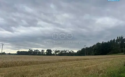 Prodej lesa 4 321 m², Tři Dvory, okres Kolín