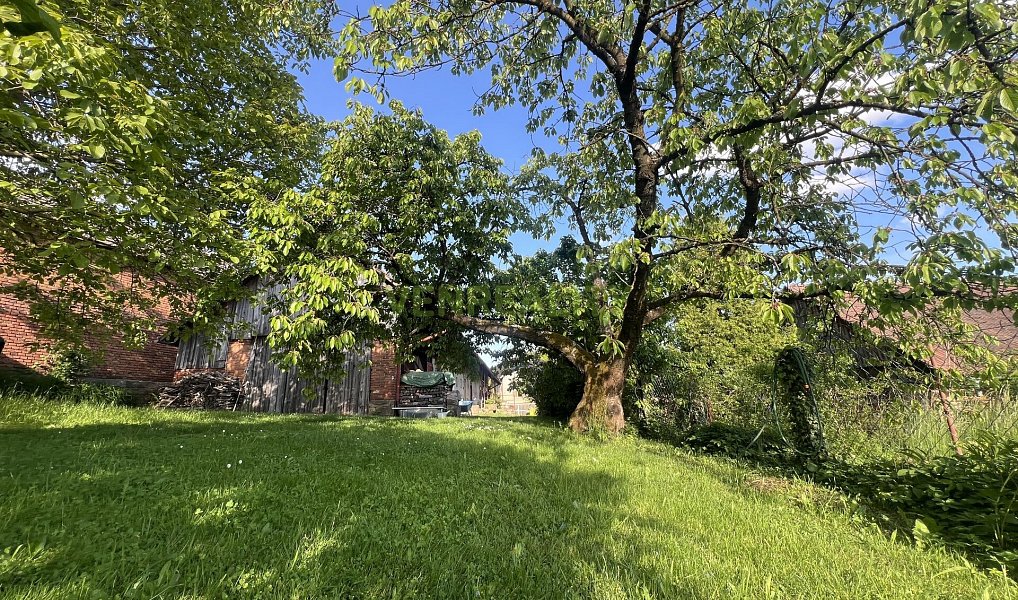 Prodej domu 80 m² s pozemkem 747 m², Hořice – náhled fotky 9