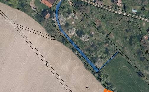 Prodej pozemku 270 m², Bělá pod Bezdězem, okres Mladá Boleslav