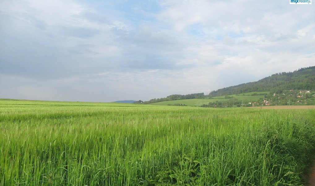Prodej pole 10 640 m², Sušice – náhled fotky 4