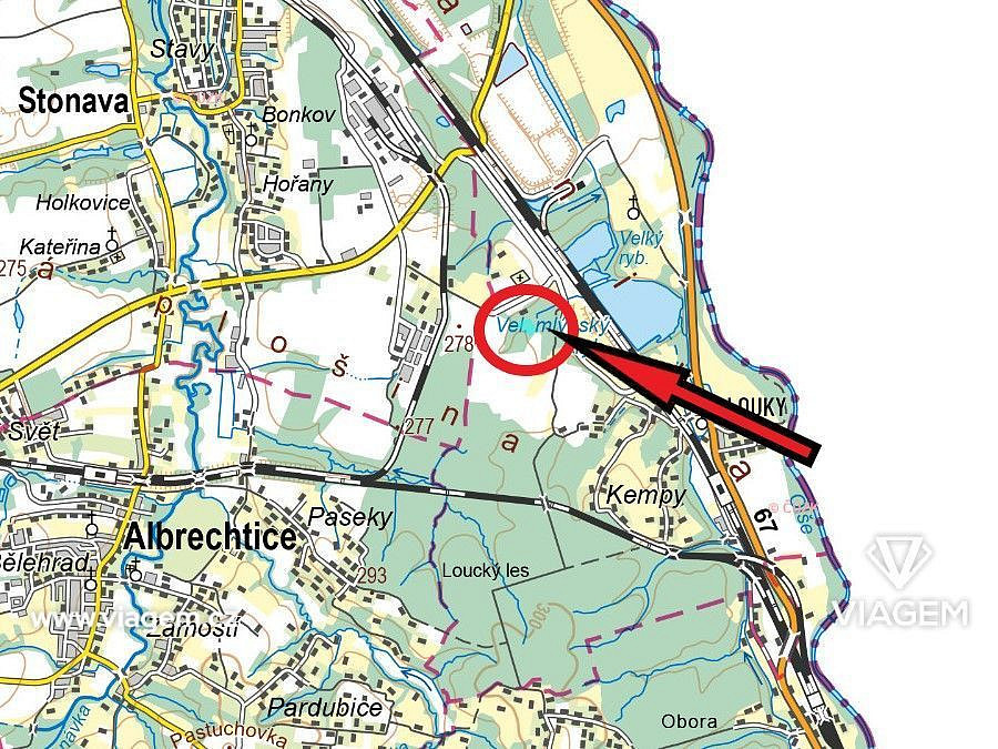 Prodej lesa 999 m² – fotografie 3