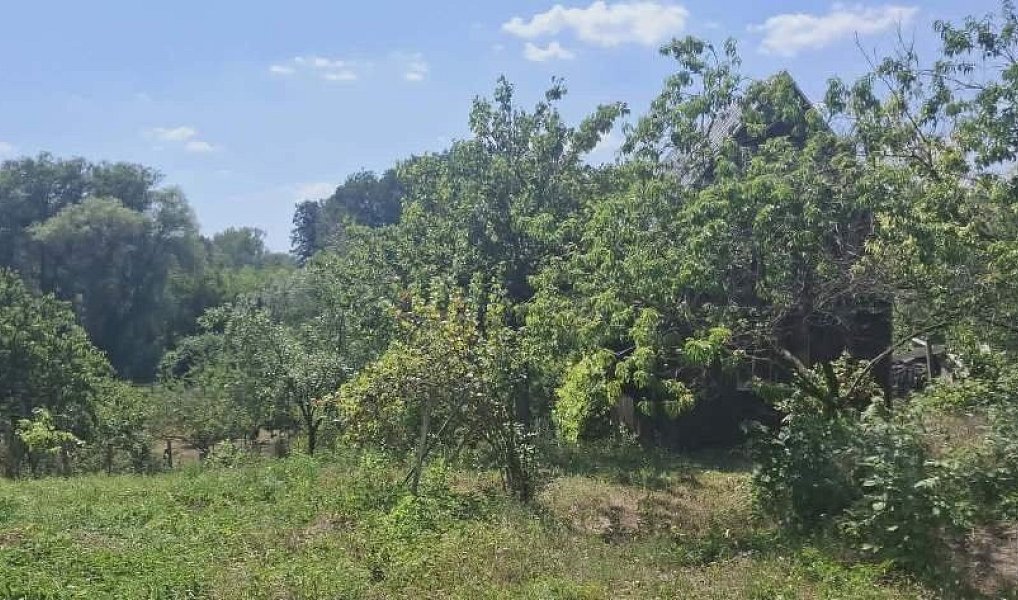 Prodej domu 350 m² s pozemkem 1 963 m², Ivaň – náhled fotky 39
