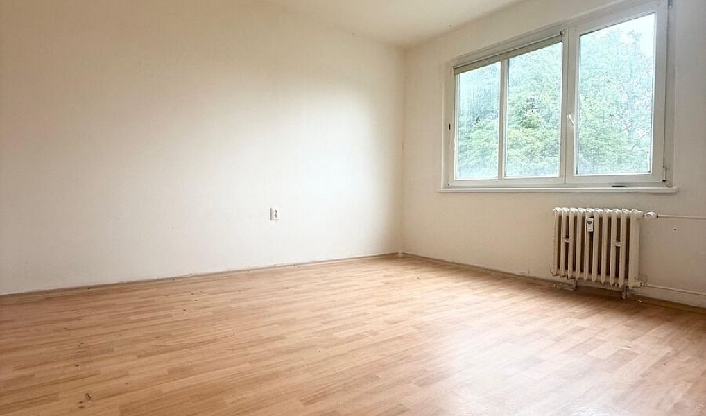 Pronájem bytu 2+1 55 m², Bílina – náhled fotky 4