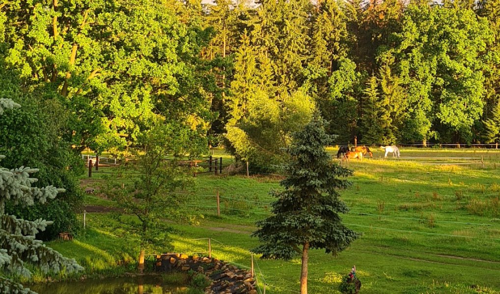 Prodej zemědělského objektu 600 m², Kamenný Újezd – náhled fotky 10