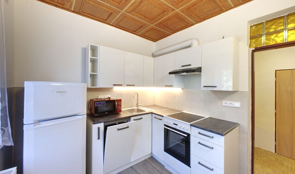 Pronájem bytu 2+1 44 m², Plzeň – náhled fotky 2