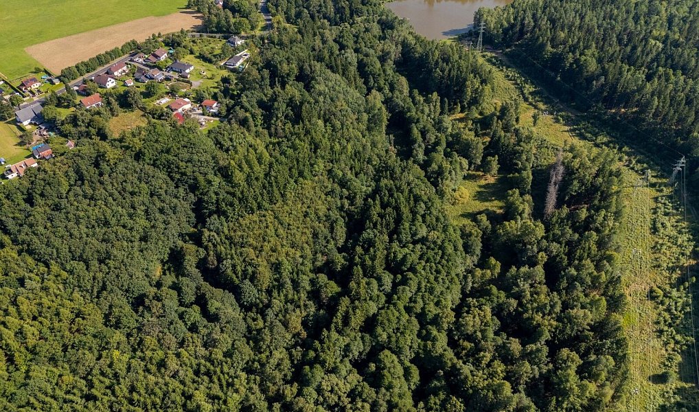 Prodej louky 25 547 m², Rumburk – náhled fotky 4