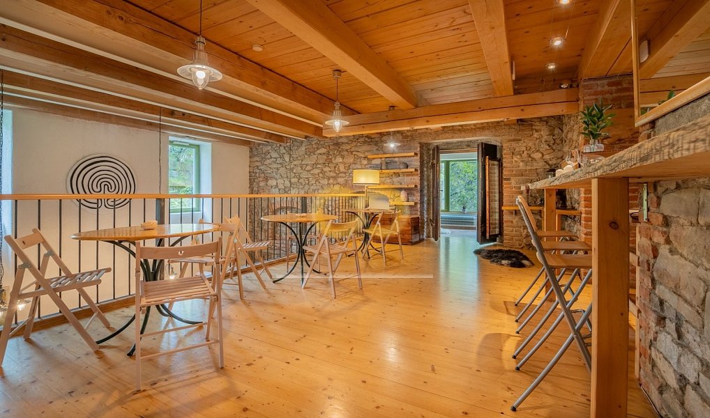 Prodej ubytovacího objektu 590 m², Uzeničky – náhled fotky 9