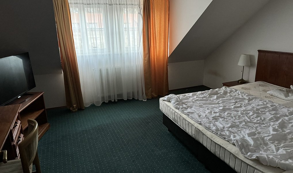 Prodej ubytovacího objektu 1 539 m², Lázně Kynžvart – náhled fotky 14