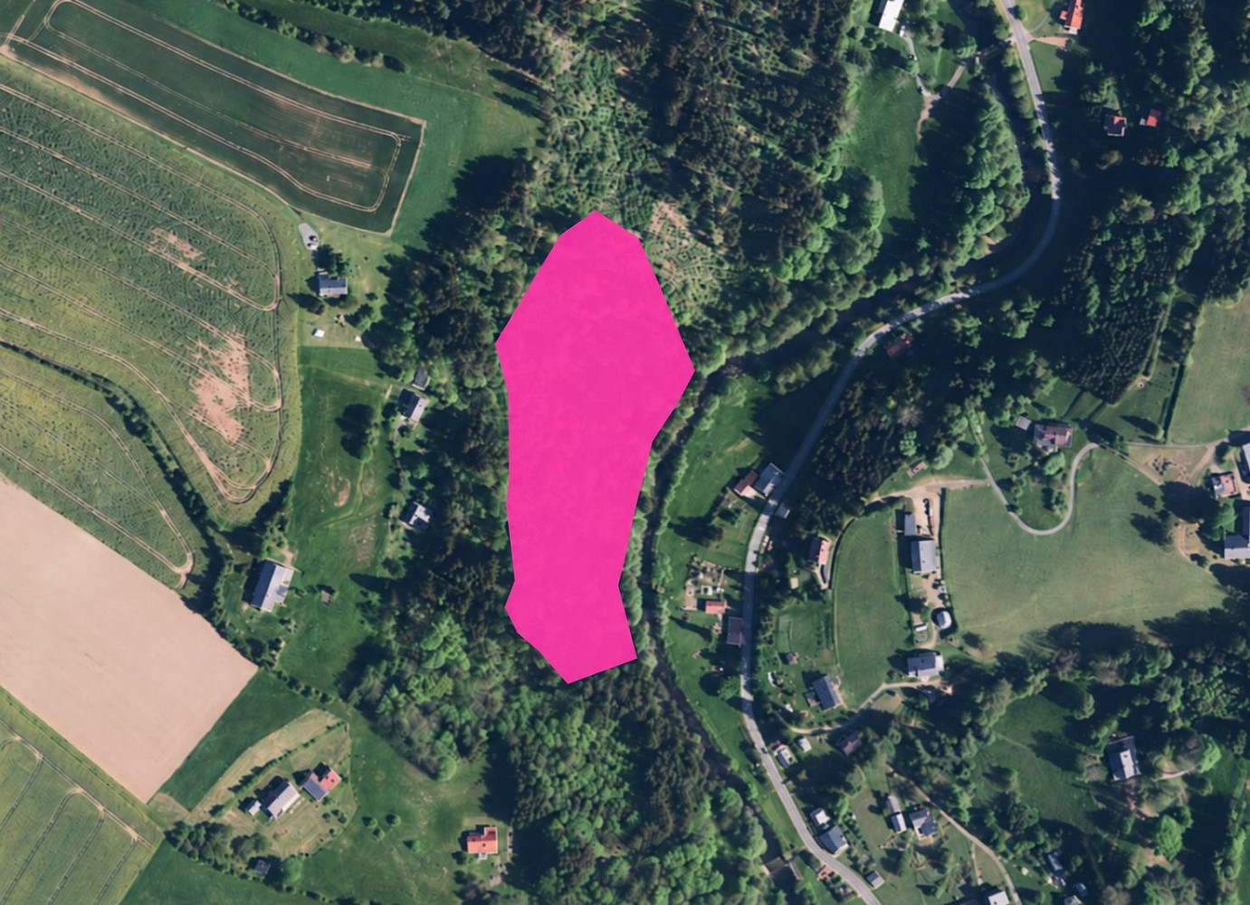 Prodej lesa 19 893 m²