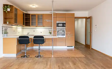Pronájem bytu 1+kk 45 m²