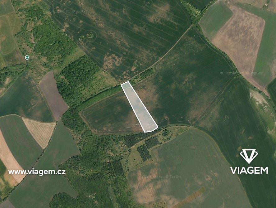 Prodej pole 6 040 m²