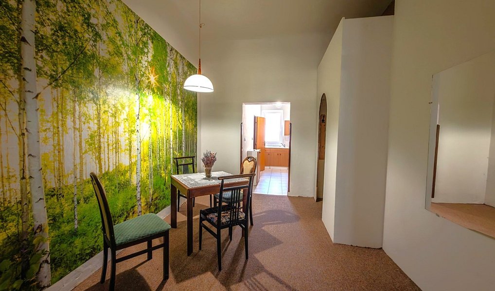Prodej domu 615 m² s pozemkem 684 m², Jihlava – náhled fotky 12
