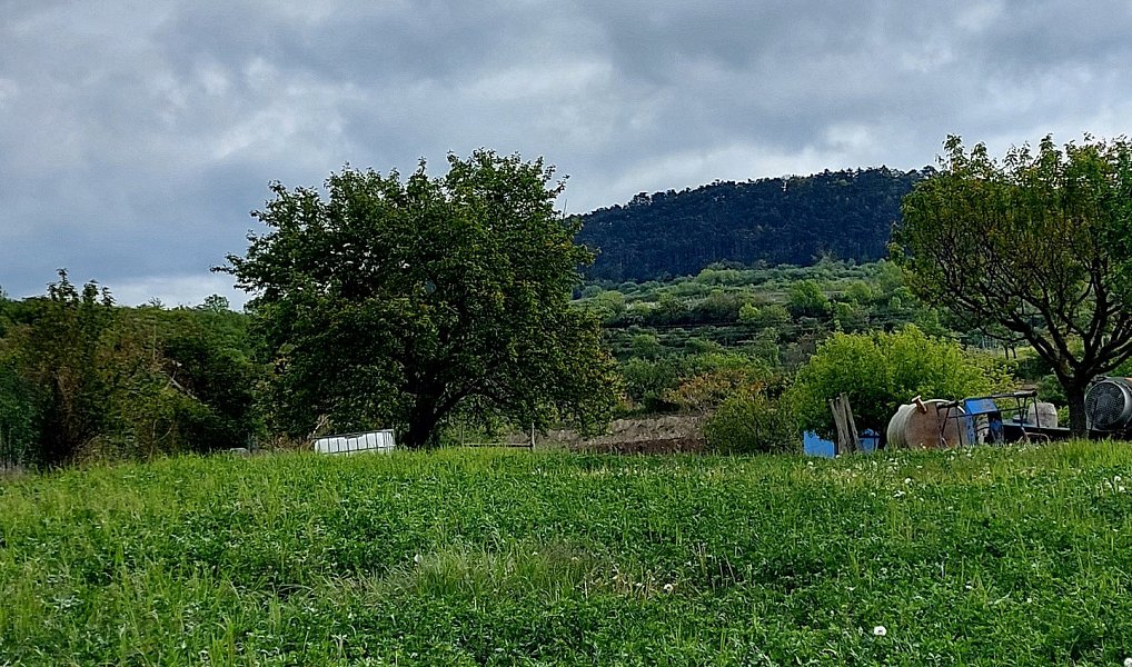 Prodej stavebního pozemku 2 224 m², Perná – náhled fotky 2