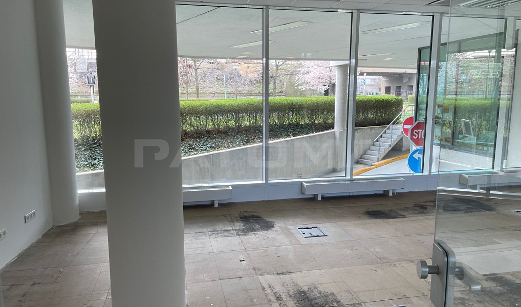 Pronájem obchodních prostor 416 m², Praha – náhled fotky 15