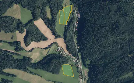 Prodej pole 31 498 m², Ruda nad Moravou - Hostice, okres Šumperk