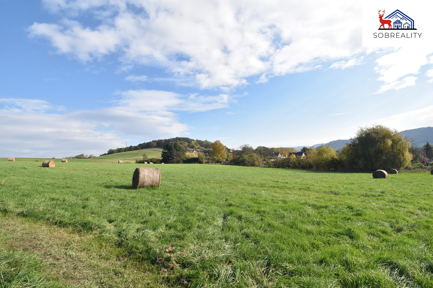 Prodej pozemku 29 187 m² – fotografie 4