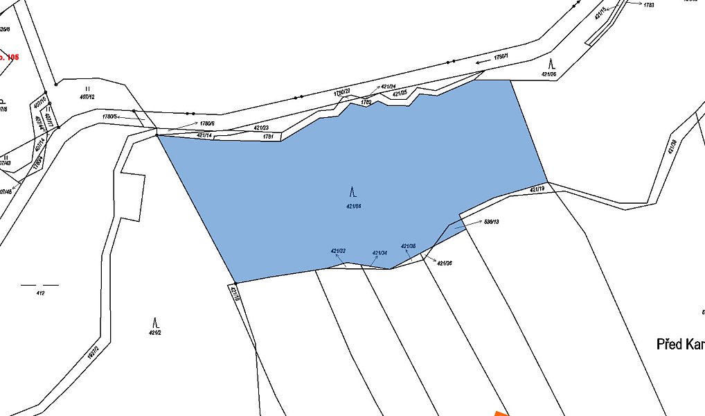 Prodej lesa 7 841 m², Přibyslav – náhled fotky 2